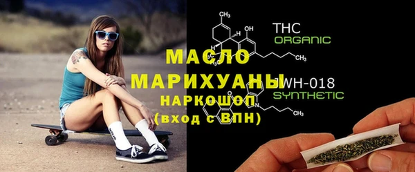 амф Туринск