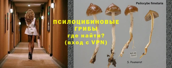прущий лед Ладушкин